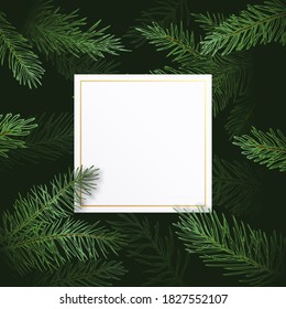 Christmas Vector Greeting Card or Poster Template. Deep Shadow Background with Fir-needle Spruce or Pine Branches Illustrations and White Square Text Space Frame. Winter Holidays Wallpaper.