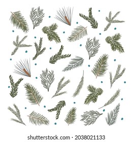 Ilustración vectorial de Navidad de ramas de árboles de coníferas sobre fondo blanco para tarjeta de diseño, invitación, afiche