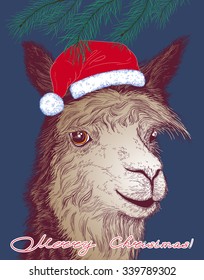 Christmas vector illustration with a cheerful alpaca in Santa Claus hat