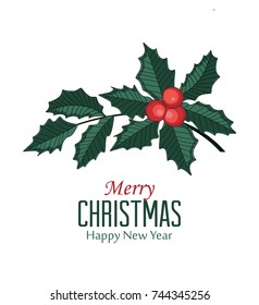Christmas vector illustration of decorative branches and berries. Red mistletoe
