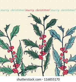 Christmas vector illustration of hand drawn holly sprigs