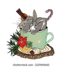 Christmas vector illustration of rabbits with mistletoe. Hares as a symbol of the New Year. Two cute rabbits are kissing under the mistletoe, a Christmas branch of tradition. Holiday card design.