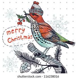 Christmas vector illustration of a winter bird in a knitted hat
