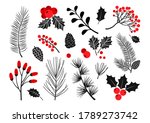 Christmas vector plants, holly berry, christmas tree, pine, leaves branches, holiday decoration, winter symbols isolated on white background. Red and black colors. Vintage nature illustration