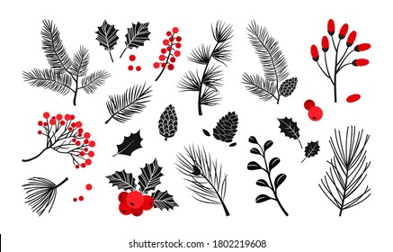 Christmas vector plants  holly berry  christmas tree  pine  leaves branches  holiday decoration  winter symbols isolated white background  Red   black colors  Vintage nature illustration