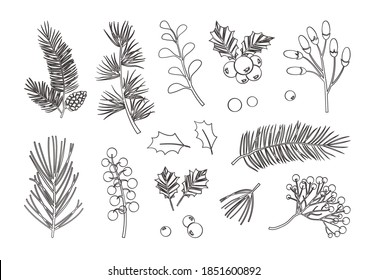 Christmas Vector Plants, Holly Berry, Fir, Tree, Pine, Leaves Branches, Holiday Decoration, Winter Symbols Isolated On White Background. Black Line Art. Vintage Nature Illustration