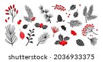 Christmas vector plants, holly winter decor, christmas tree, pine, leaves branches, holiday set isolated on white background. Red and black colors. Vintage nature illustration