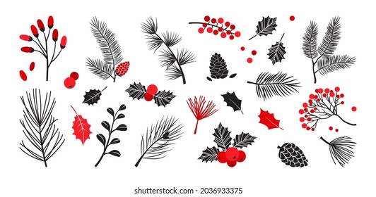 Christmas vector plants  holly winter decor  christmas tree  pine  leaves branches  holiday set isolated white background  Red   black colors  Vintage nature illustration