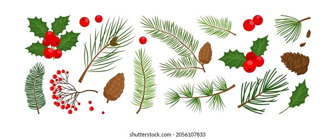 Plantas vectoriales de Navidad, árboles, abetos, pino y cono, decoración de invierno sano, berry, ramas de hojas, vacaciones aisladas en fondo blanco. Ilustración de la naturaleza