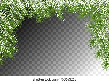 Christmas vector spruce border. Snowy branches of fir tree