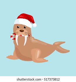 Christmas walrus in a cap and with a candy in your mouth is and enjoys in the New Year's Eve and waiting their gifts for the winter holidays vector illustration