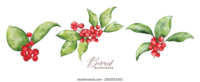 Christmas watercolor bouquet berries and green leaves arrangings set. Hand-painted watercolor element suitable for decorative Christmas festival, New year invitations, or greeting cards.