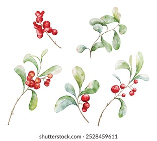 Christmas watercolor bouquet berries and green leaves arrangings set. Hand-painted watercolor elements suitable for decorative Christmas festival, New Year invitations, or greeting cards.