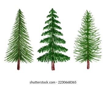 Christmas Watercolor Pine Tree Illustration