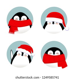 Colección de avatares de invierno de Navidad. Pingüinos cortos con sombreros y pañuelos rojos de Santa Claus, conjunto de fotos de perfil. Divertido invierno para los usuarios de la web.