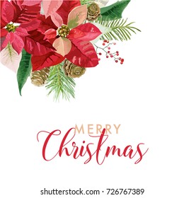 Christmas Winter Poinsettia Flowers Card or Background with place for your text in vector