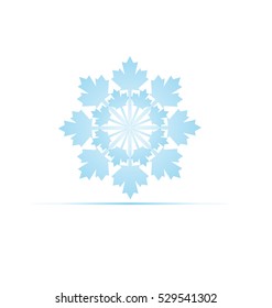 Christmas winter snowflakes vector