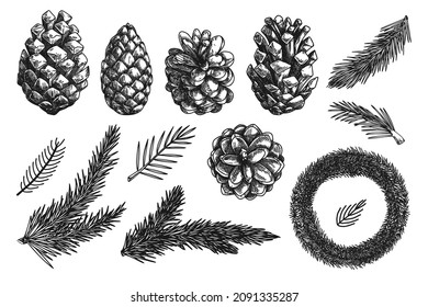 Christmas wreath and branches of different plants isolated on white background. Sketch, illustration by hand drawn