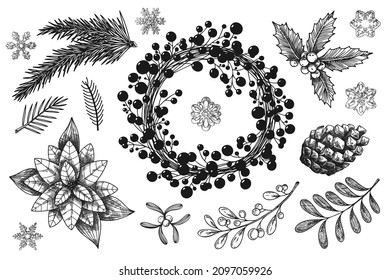 Christmas wreath and branches of different plants isolated on white background. Sketch, illustration by hand drawn