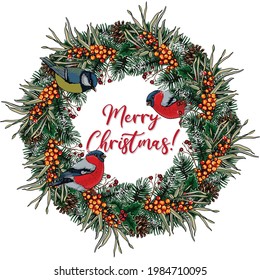 Christmas wreath of branches of a Christmas tree, cones, sea buckthorn, bullfinch birds and titmouse with the inscription Merry Christmas! Souvenirs, congratulations, postcard for the new year.