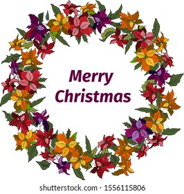 Christmas wreath on a white background from multicolor poinsetia flowers. Vector illustration for poisoning, invitations, and dazine.