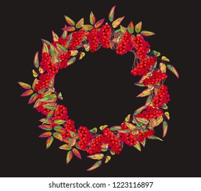 Christmas wreath with red berries. Vector illustration.