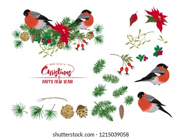 Christmas wreath of spruce, pine, poinsettia, dog rose, cowberry, mistletoe and bullfinches. Set of elements. With Merry Christmas and Happy New Year. Vector illustration.

