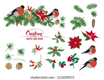 Christmas wreath of spruce, pine, poinsettia, dog rose, cowberry, mistletoe and bullfinches. Set of elements. With Merry Christmas and Happy New Year. Vector illustration.
