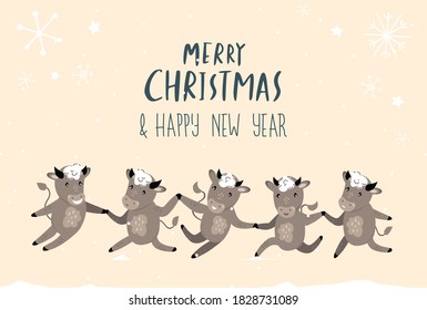 Christmas,Happy New Year Greeting Card.Cute Cartoon Bulls.Dancing Celebrating Cows Cattle.Chinese 2021 Symbol.Set of Funny Cute Holiday Animals.Design of Calendar,Cards,Advertising.Vector illustration