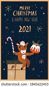 Christmas,Happy New Year Greeting Card.Cute Cartoon Bull Sitting on the Box of Gift Present,Biscuit Cake Stollen,Sweet Candy Cane.Cow 2021 Symbol.Holiday Winter Atmosphere.Calendar, Cards, Advertising