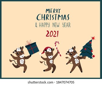 Christmas,Happy New Year Greeting Card.Cute Cartoon Bulls.Dancing Jumping Celebrating Cow Cattle.Chinese 2021 Symbol.Funny Cute Holiday Animal.Holiday Winter Atmosphere.Advertising Vector illustration
