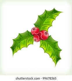 Christmas's holly in a glossy style on white background