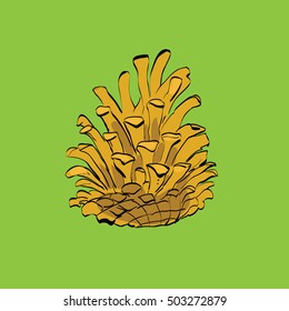 Christmas-tree pine cone, color vector illustration. Christmas holiday and New year