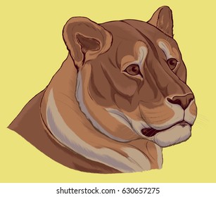 Chromatic head  of a ginger African lion. The big cat of the Panther genus. Realistic vector  portrait  illustration which can be used as t-shirt printing.