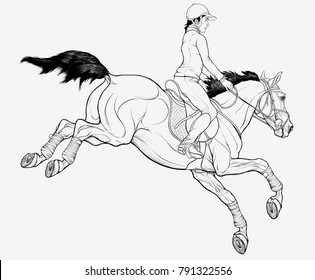 Chromatic illustration of a jockey and horse. Design element for equestrian goods or show jumping competitions. Vector stallion in a bridle, saddle over shabrack and his rider dressed for sport.