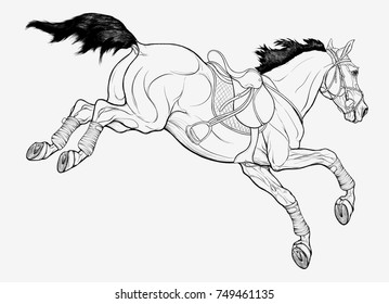 Chromatic illustration of a Tersk horse jumping over an obstacle. Design element of equestrian goods. Image of a stallion in a snaffle bridle with Figure-eight noseband. Steed in English sport saddle.