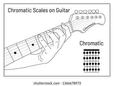 Guitarra a escala cromática para principiantes, vector. dibujo a mano,Cuerdas de guitarra de mano