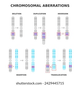 Chromosomal aberrations. Deletion, duplication, inversion, translocation, insertion. Chromosome structure abnormalities, mutations. Medical science diagram. Genetics and DNA. Vector illustration.