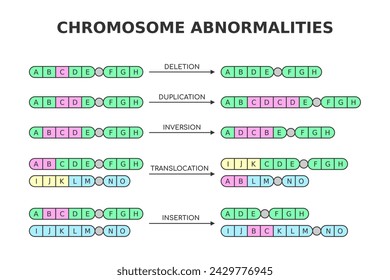 Chromosomal abnormalities. Deletion, duplication, inversion, translocation, insertion. Chromosome structure aberrations, mutations. Medical science diagram. Genetics and DNA. Vector illustration.