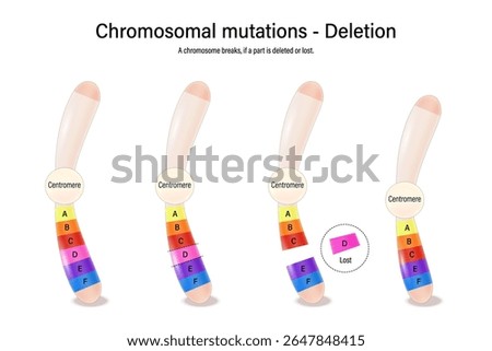 A chromosomal deletion. Chromosomal mutations. Various genetic disorders. Alteration of chromosome structure. Vector used for scientific and medical education. 