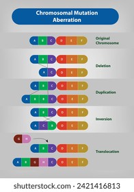 Chromosomenmutation, "Genetische Anomalien, bekannt als Abberration, sind Modifikationen, die ganze Chromosomen und komplette genetische Sequenzen anstatt einzelne Nukleotide beeinflussen." Vektorgrafik