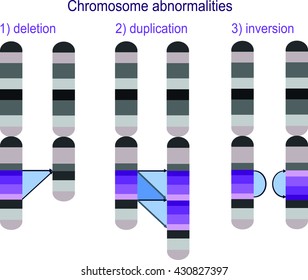 Chromosome abnormalities - deletion, duplication, inversion