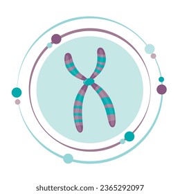 Chromosome DNA genome sciences vector illustration graphic icon