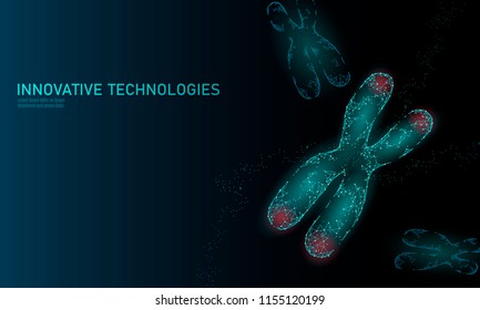 Chromosome DNA structure medicine concept. Low poly polygonal telomere genetic disease aging process. GMO engineering CRISPR Cas9 innovation modern technology science banner vector illustration