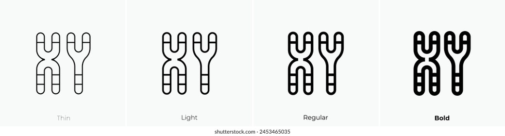 chromosome icon. Thin, Light Regular And Bold style design isolated on white background
