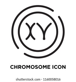 Chromosome icon vector isolated on white background, Chromosome transparent sign , line symbol or linear element design in outline style
