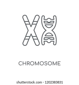 Chromosome linear icon. Chromosome concept stroke symbol design. Thin graphic elements vector illustration, outline pattern on a white background, eps 10.
