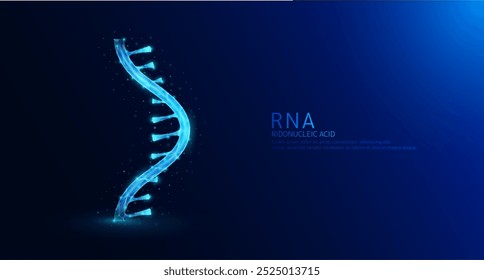 Chromosome RNA or ribonucleic acid gene double helix blue glowing polygonal. Nucleus cell genetic synthetic biology combined. Medical science background vector.