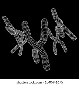Chromosome scientific medicine education concept. Wireframe low poly mesh vector illustration