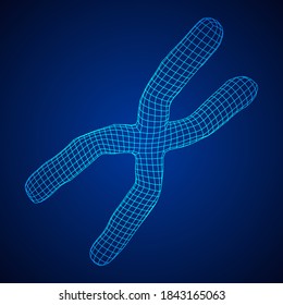 Chromosome scientific medicine education concept. Wireframe low poly mesh vector illustration